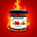 Nakladaná Carolina Reaper, Jolokia, Jalapeno 110g