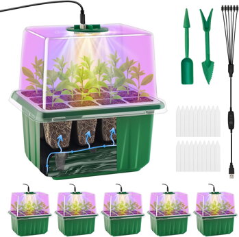 CHILLI SEMIENKA a GROW BOXY