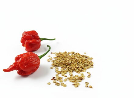 Dragons Breath semienka 10 ks 