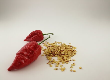Naga Morich red  semienka 10 ks 