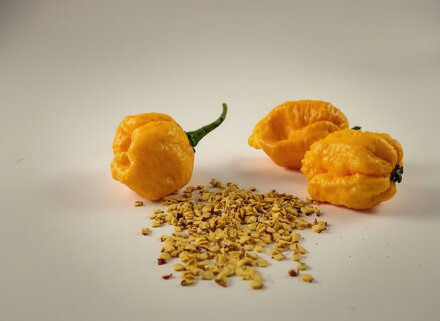 Trinidad Scorpion yellow semienka 10 ks   