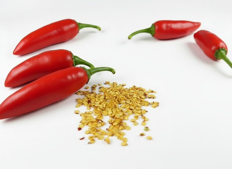 Jalapeno semienka 10 ks 
