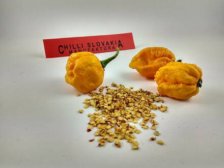Trinidad Scorpion yellow semienka  